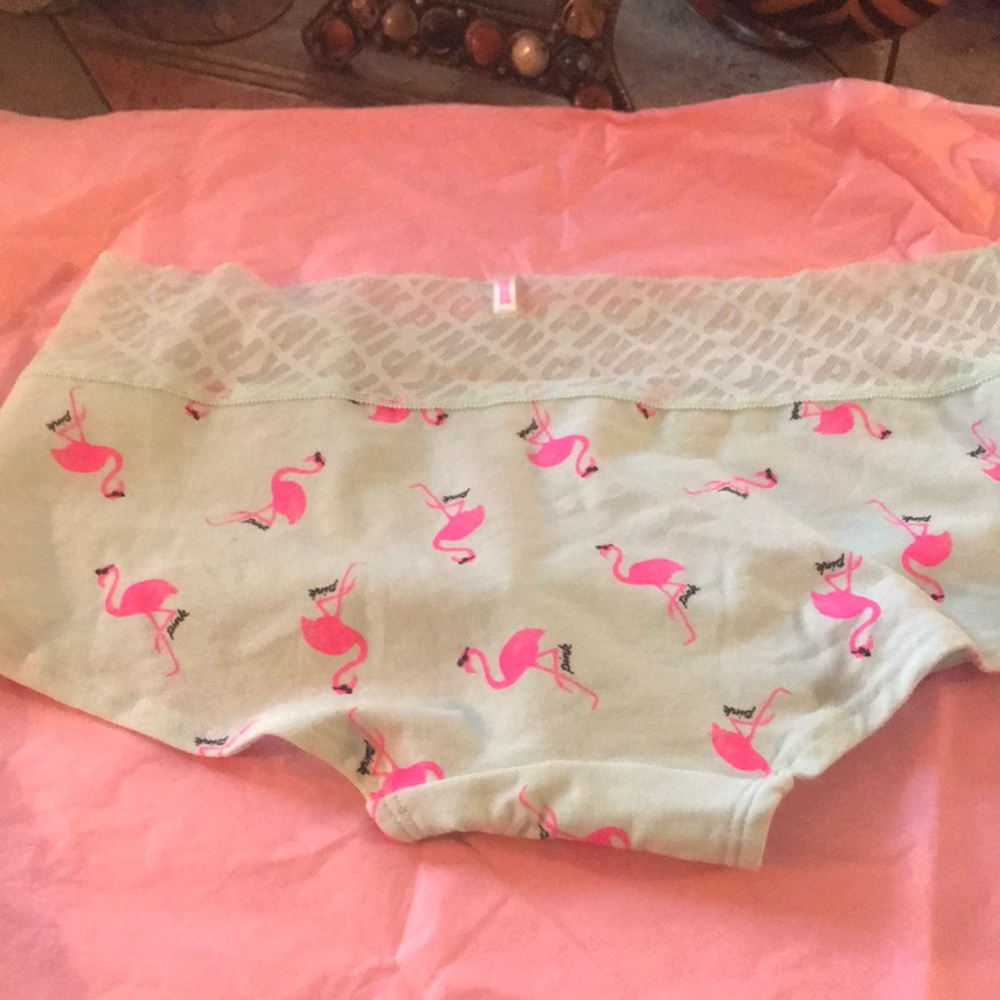 NWT Pink Panties Pink size L - Picture 3 of 3